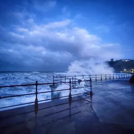 Hotel Haddock Hideaway At The Whiteley Scarborough