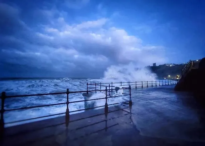 Hotel Haddock Hideaway At The Whiteley Scarborough